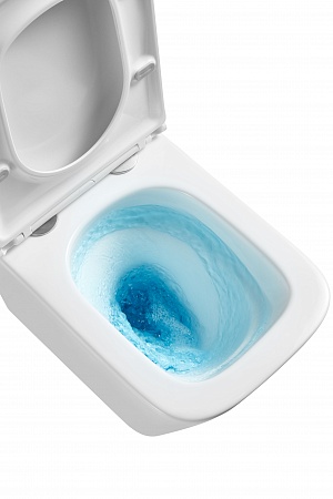 Подвесной унитаз безободковый Terminus Ватикан Monolit 490х340 белый Сургут - фото 8