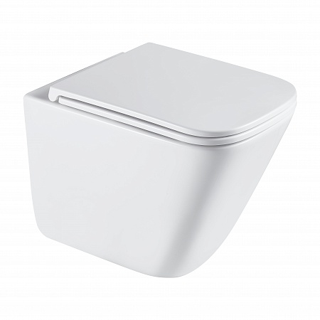 Подвесной унитаз безободковый Terminus Ватикан Monolit 490х340 белый Сургут - фото 2