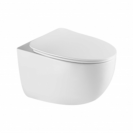 Подвесной унитаз безободковый Terminus Енисей Monolit 560х390 белый Сургут - фото 2