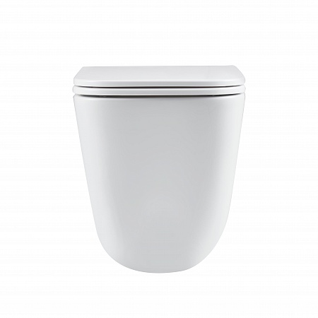 Подвесной унитаз безободковый Terminus Ватикан Monolit 490х340 белый Сургут - фото 6