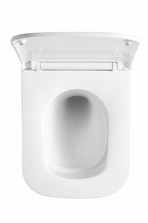 Подвесной унитаз безободковый Terminus Ватикан Monolit 490х340 белый Сургут - фото 3